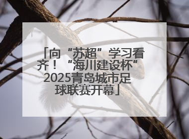 向“苏超”学习看齐！“海川建设杯”2025青岛城市足球联赛开幕