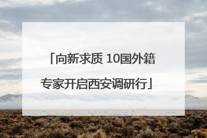 向新求质 10国外籍专家开启西安调研行