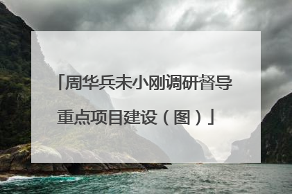周华兵未小刚调研督导重点项目建设（图）
