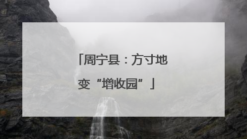 周宁县：方寸地变“增收园”