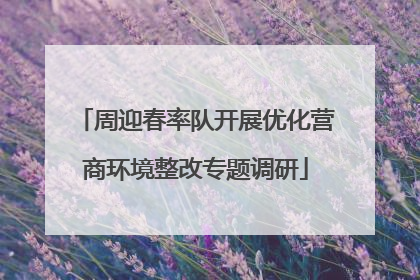 周迎春率队开展优化营商环境整改专题调研
