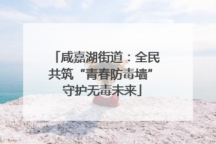 咸嘉湖街道：全民共筑“青春防毒墙” 守护无毒未来
