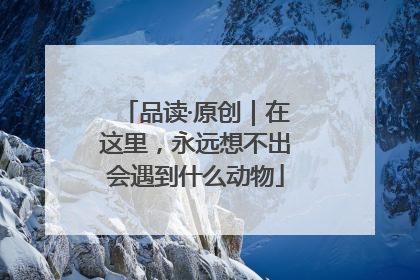 品读·原创｜在这里，永远想不出会遇到什么动物