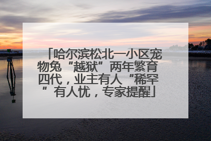 哈尔滨松北一小区宠物兔“越狱”两年繁育四代，业主有人“稀罕”有人忧，专家提醒