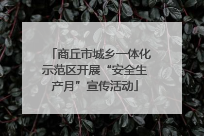 商丘市城乡一体化示范区开展“安全生产月”宣传活动