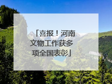喜报！河南文物工作获多项全国表彰