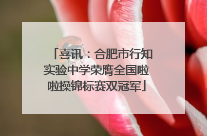喜讯：合肥市行知实验中学荣膺全国啦啦操锦标赛双冠军