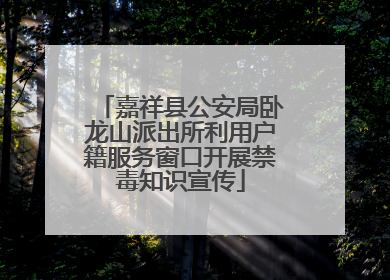 嘉祥县公安局卧龙山派出所利用户籍服务窗口开展禁毒知识宣传