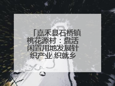 嘉禾县石桥镇桃花源村：盘活闲置用地发展针织产业 织就乡村振兴新图景