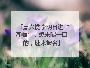 嘉兴槜李明日进“潮咖”，想来嘬一口的，速来报名