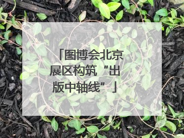 图博会北京展区构筑“出版中轴线”