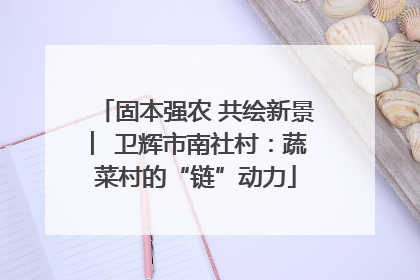 固本强农 共绘新景 ︳卫辉市南社村：蔬菜村的“链”动力