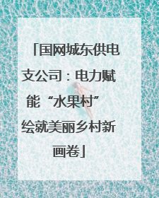 国网城东供电支公司：电力赋能“水果村” 绘就美丽乡村新画卷
