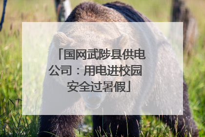 国网武陟县供电公司：用电进校园  安全过暑假