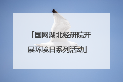国网湖北经研院开展环境日系列活动