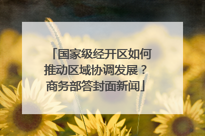 国家级经开区如何推动区域协调发展？商务部答封面新闻