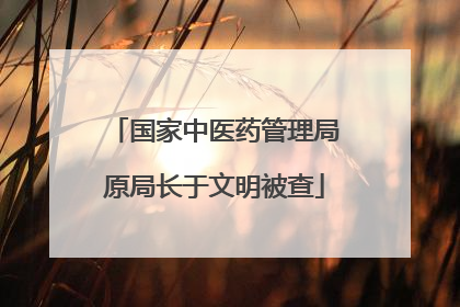 国家中医药管理局原局长于文明被查