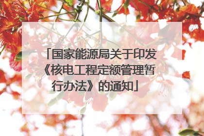 国家能源局关于印发《核电工程定额管理暂行办法》的通知