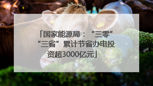 国家能源局：“三零”“三省”累计节省办电投资超3000亿元
