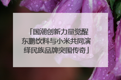 国潮创新力量觉醒 东鹏饮料与小米共同演绎民族品牌突围传奇
