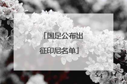 国足公布出征印尼名单