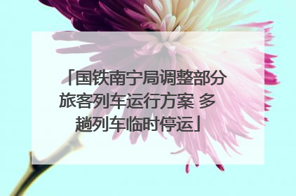 国铁南宁局调整部分旅客列车运行方案 多趟列车临时停运
