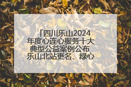 四川乐山2024年度心连心服务十大典型公益案例公布 乐山北站更名、绿心路井盖治理等上榜