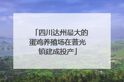 四川达州最大的蛋鸡养殖场在普光镇建成投产