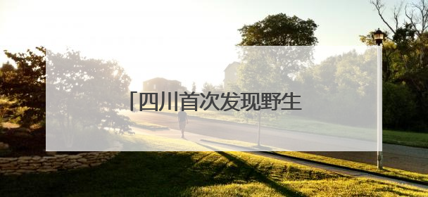 四川首次发现野生朱鹮夏季栖息行为