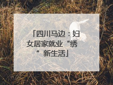 四川马边：妇女居家就业“绣”新生活