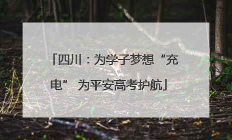 四川：为学子梦想“充电” 为平安高考护航