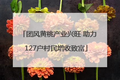 团风黄桃产业兴旺 助力127户村民增收致富