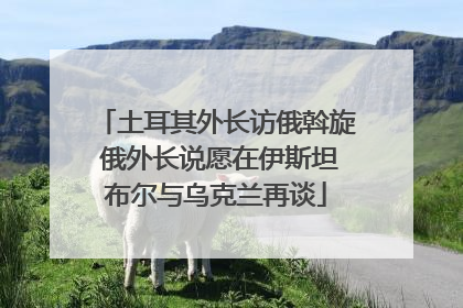 土耳其外长访俄斡旋 俄外长说愿在伊斯坦布尔与乌克兰再谈
