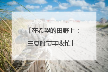 在希望的田野上：三夏时节丰收忙
