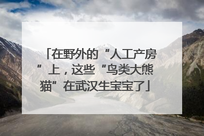 在野外的“人工产房”上，这些“鸟类大熊猫”在武汉生宝宝了