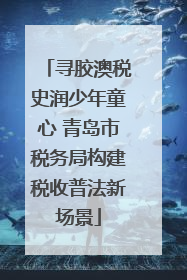 寻胶澳税史润少年童心 青岛市税务局构建税收普法新场景
