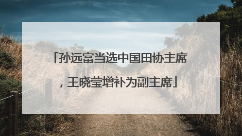 孙远富当选中国田协主席，王晓莹增补为副主席