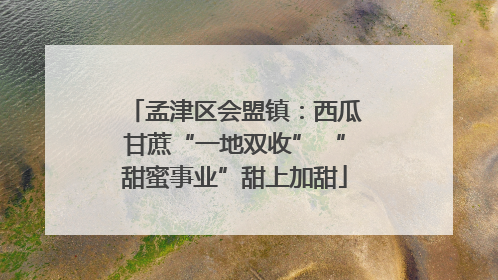 孟津区会盟镇：西瓜甘蔗“一地双收” “甜蜜事业”甜上加甜