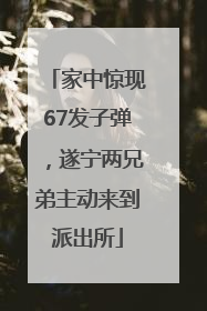 家中惊现67发子弹，遂宁两兄弟主动来到派出所