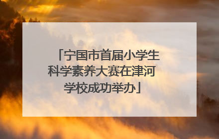 宁国市首届小学生科学素养大赛在津河学校成功举办