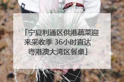 宁夏利通区供港蔬菜迎来采收季 36小时直达粤港澳大湾区餐桌