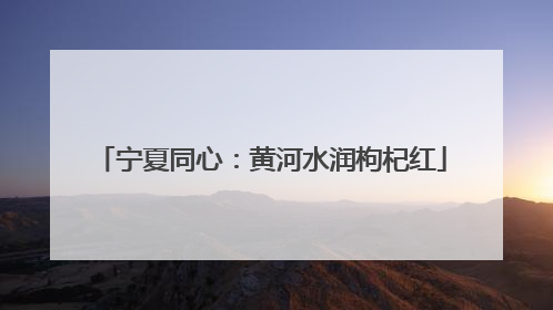 宁夏同心：黄河水润枸杞红
