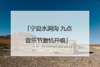 宁夏水洞沟 九点音乐节激情开唱