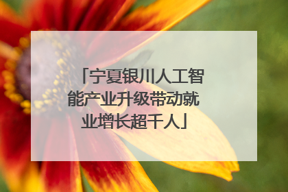 宁夏银川人工智能产业升级带动就业增长超千人