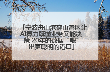 宁波舟山港穿山港区让AI算力既懂业务又能决策 20年的数据“喂”出更聪明的港口