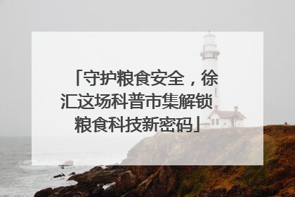 守护粮食安全，徐汇这场科普市集解锁粮食科技新密码