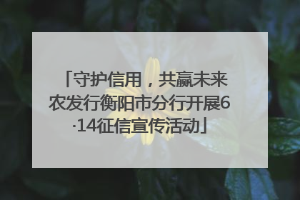 守护信用，共赢未来 农发行衡阳市分行开展6·14征信宣传活动