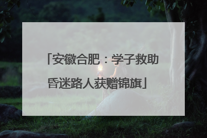 安徽合肥：学子救助昏迷路人获赠锦旗