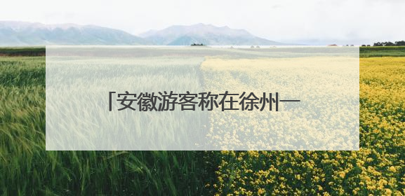 安徽游客称在徐州一博物馆内发现本村17年前丢失的石狮，两地官方最新回应