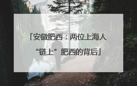 安徽肥西：两位上海人“链上”肥西的背后
